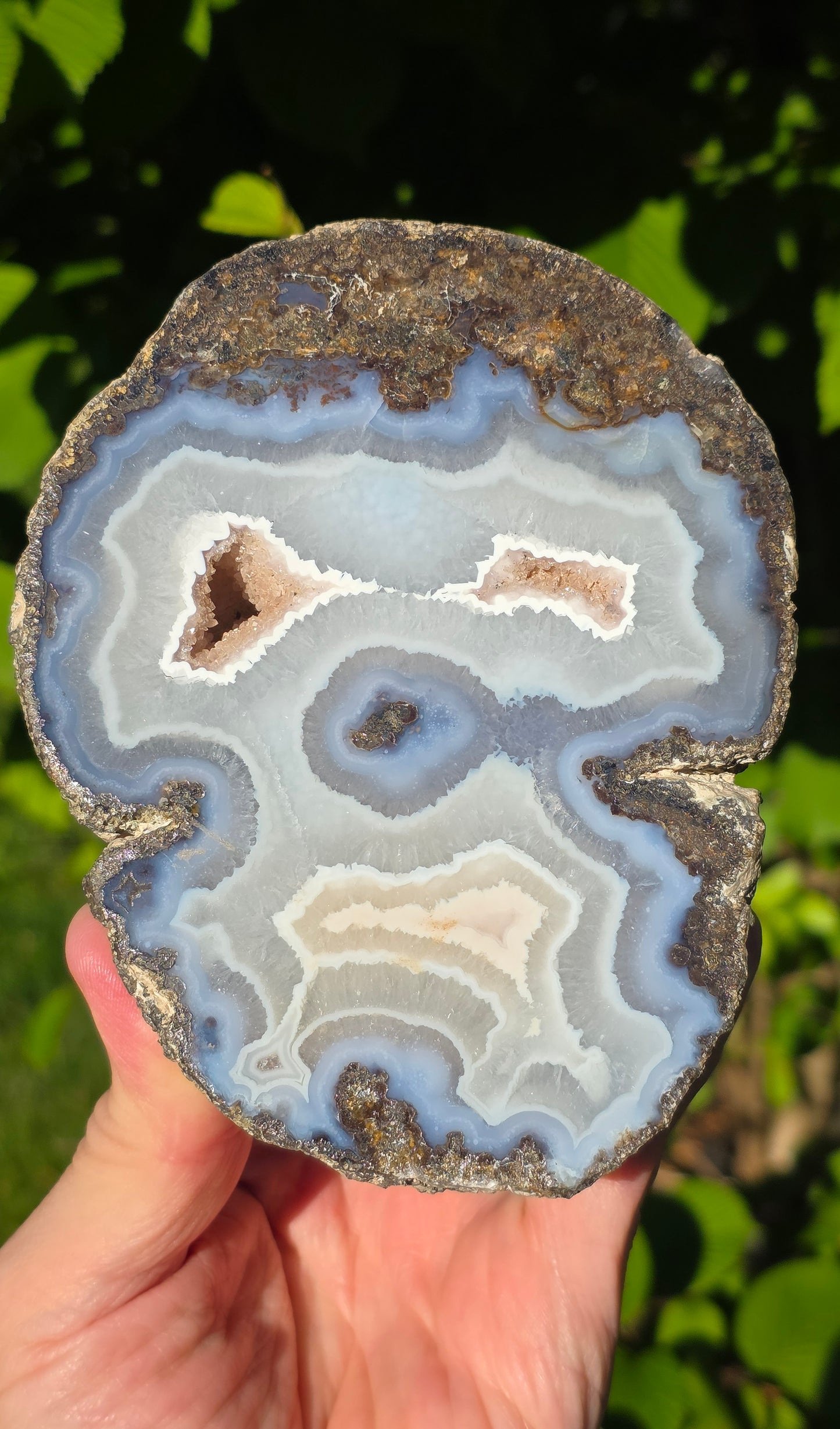 Exquisite Blue Lace Agate Geode Half with Sparkling Crystal Cavities - Namibia (Large Display Specimen)