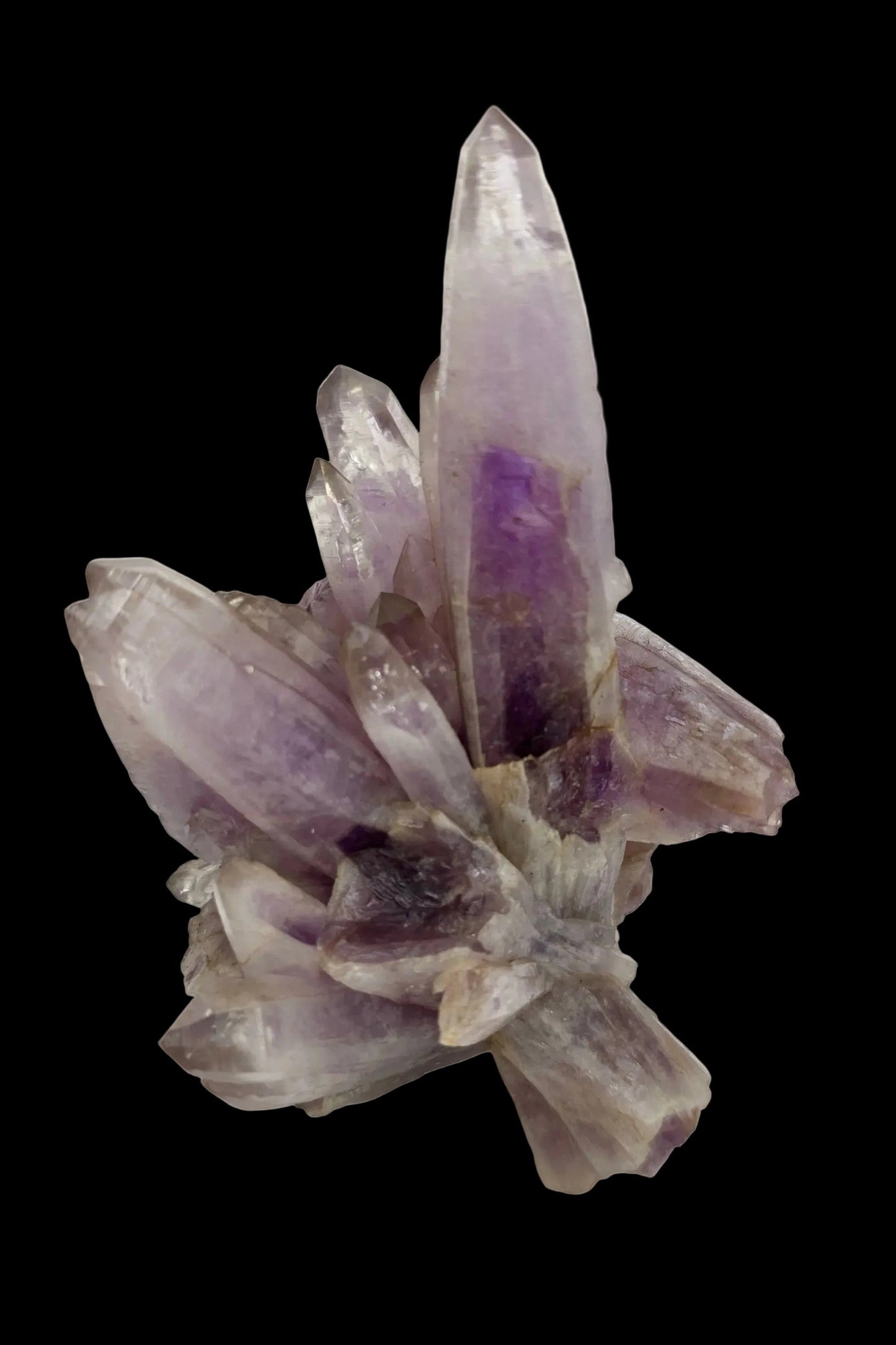 Amethyst crystal cluster on a white background