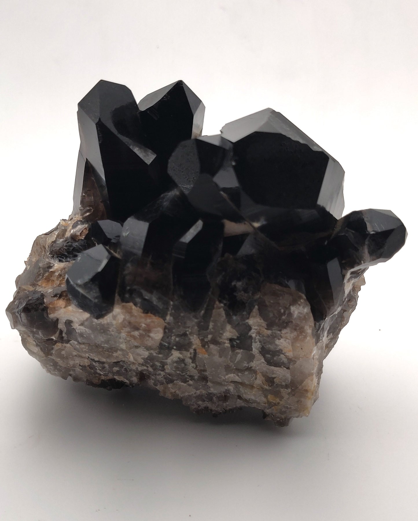 A polished smoky quartz crystal cluster with a deep grey-brown to black color, surrounded by smaller smoky quartz pieces on a white background.