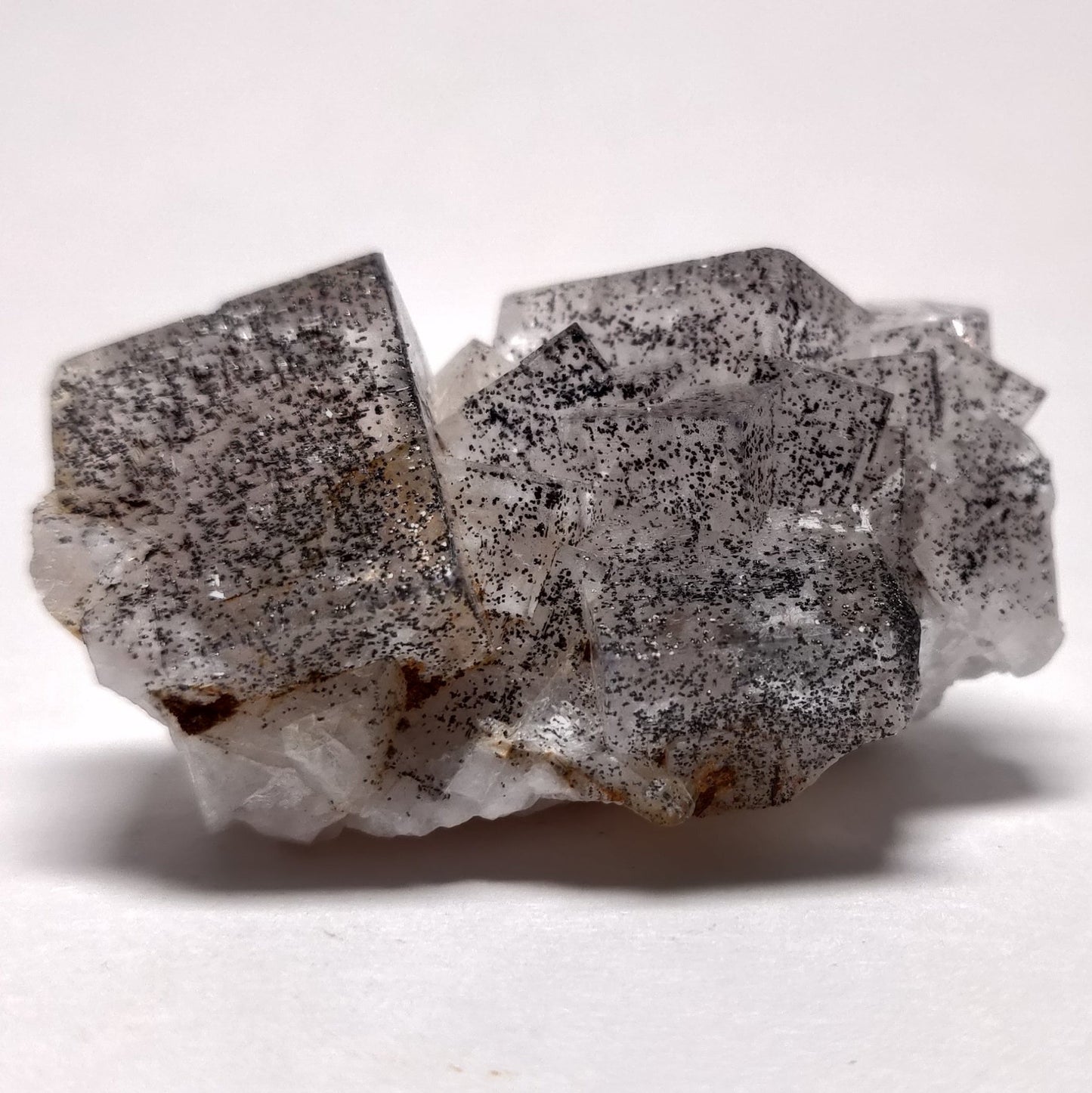 A polished clear fluorite crystal with Hematite inclusions, mounted on a white background.