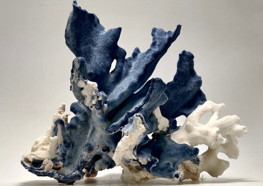 Large Vintage Blue Ridge Coral (Heliopora Coerulea) - 10.5 x 8 x 8 Inches