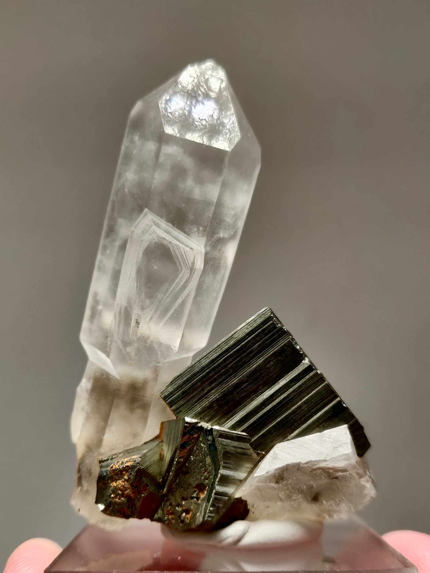 Quartz and Pyrite from Spruce Ridge, King Co. Washington, USA
