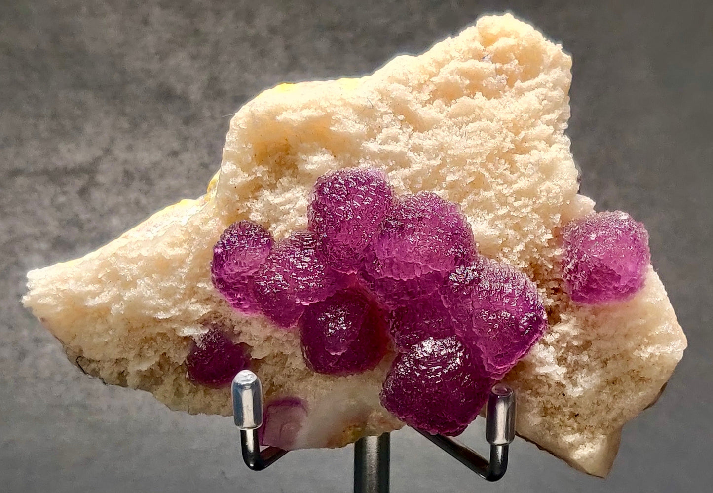 A photograph of a mineral specimen, showcasing vibrant purple fluorite crystals on a white quartz matrix, mounted on a display stand.