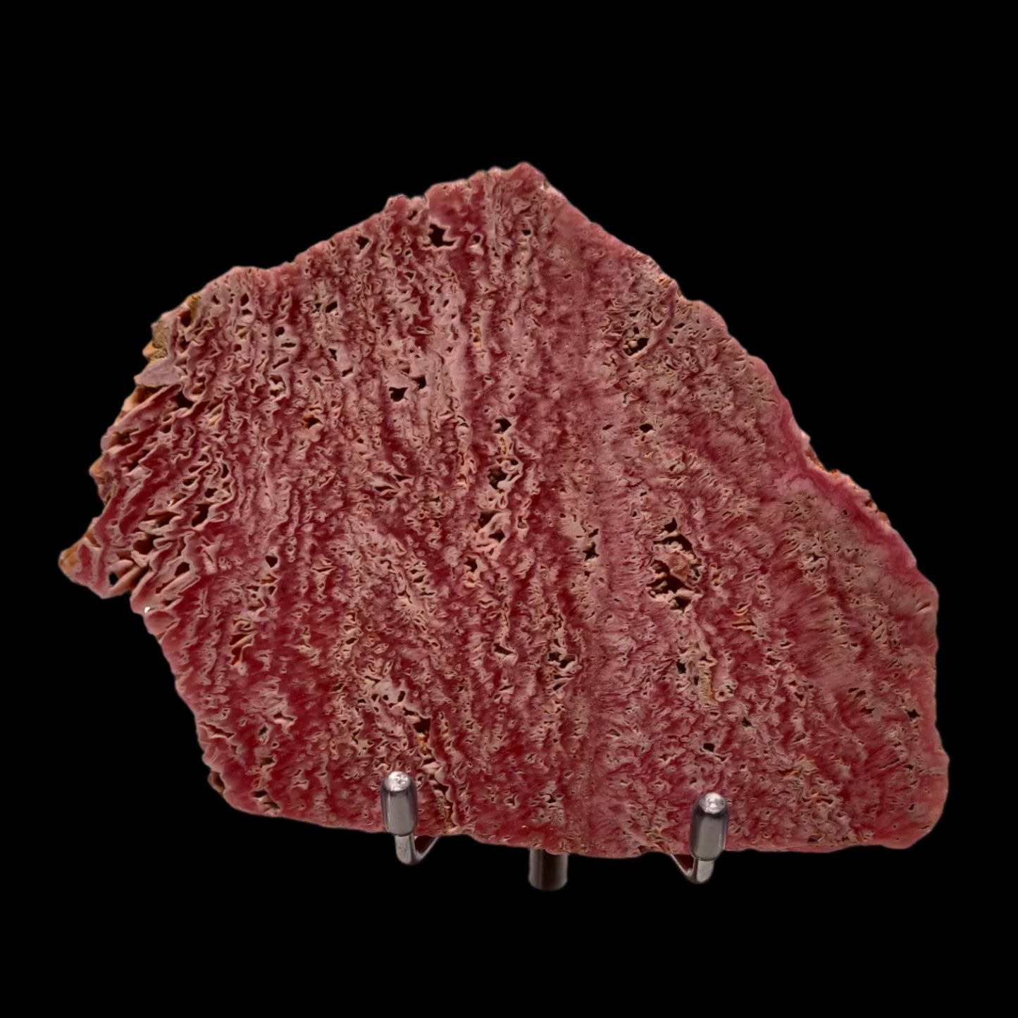 Rhodochrosite Slab from Capillitas, Argentina