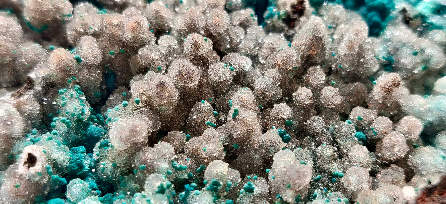 Druzy Botryoidal Chrysocolla, Ojuela Mine, Mapimi, Durango, Mexico