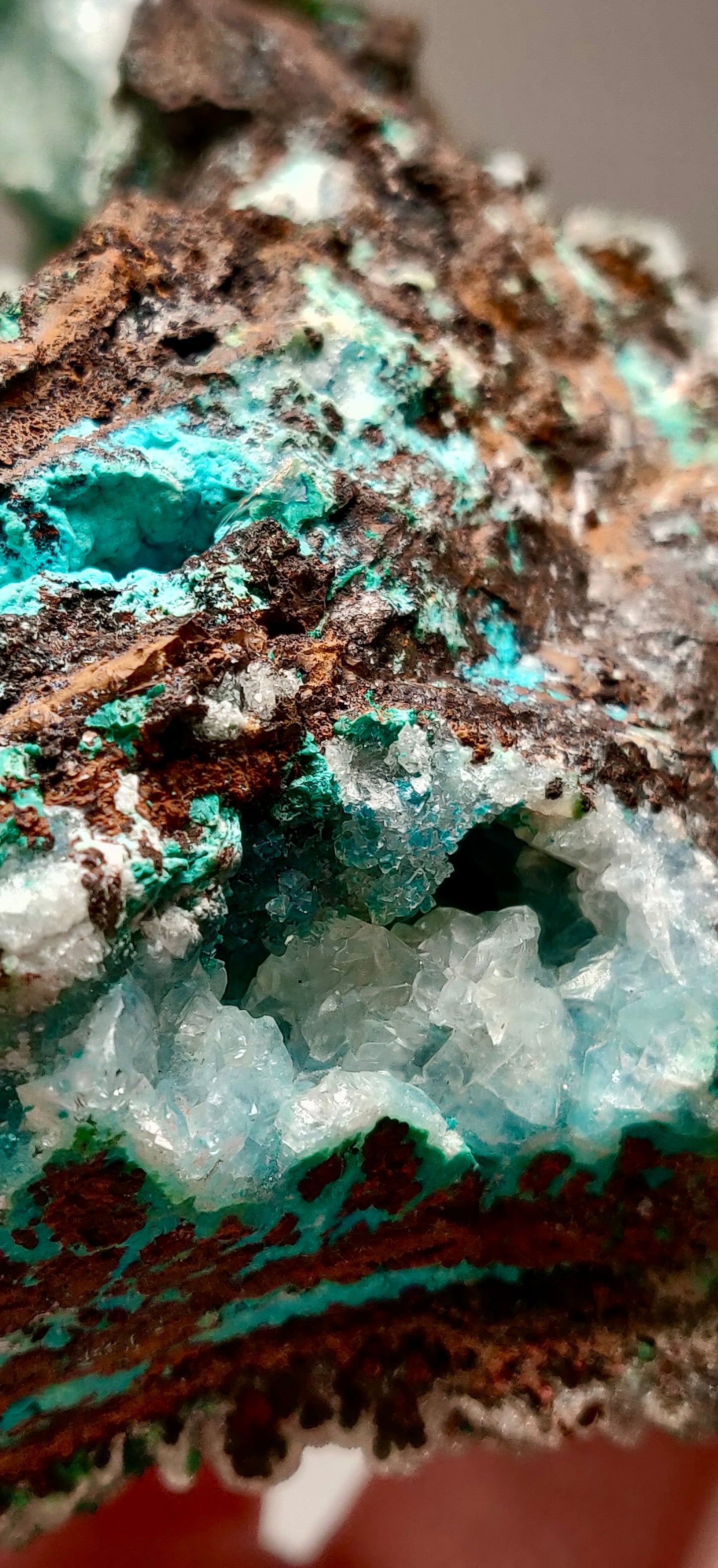 Druzy Botryoidal Chrysocolla, Ojuela Mine, Mapimi, Durango, Mexico
