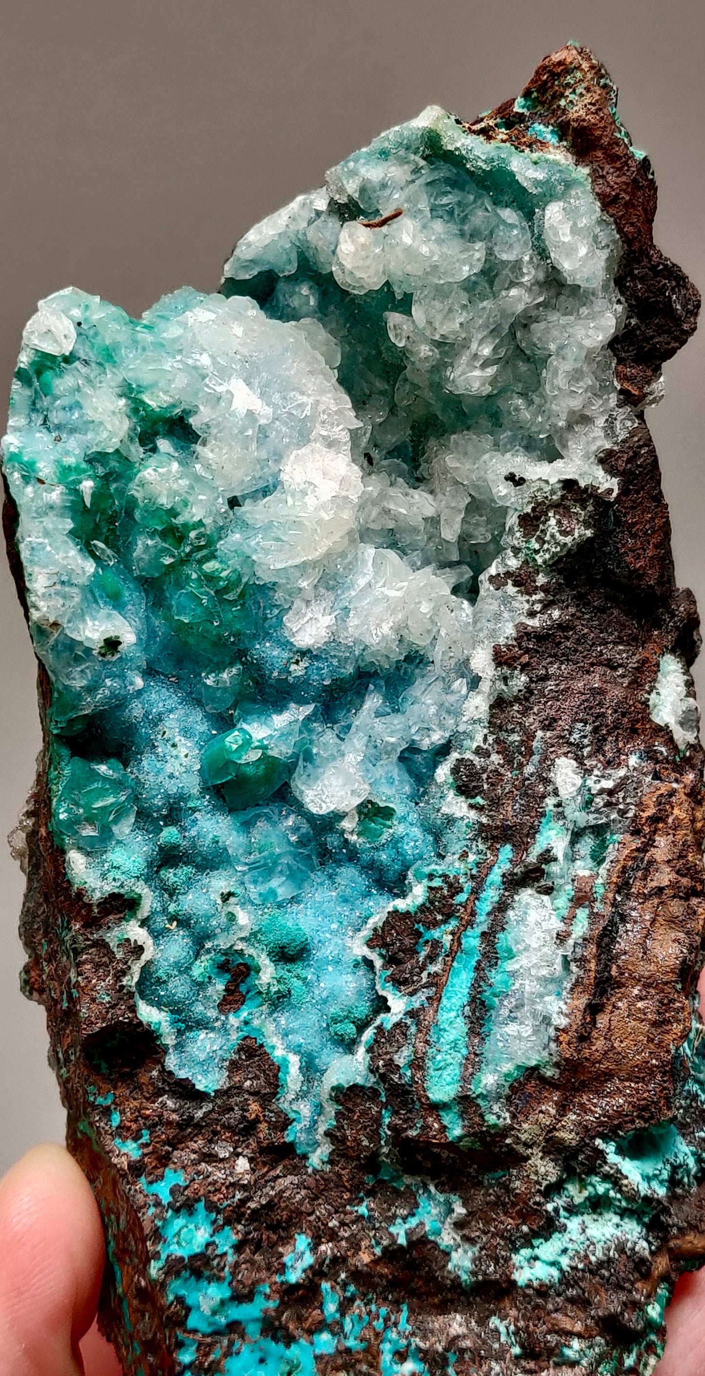 Druzy Botryoidal Chrysocolla, Ojuela Mine, Mapimi, Durango, Mexico