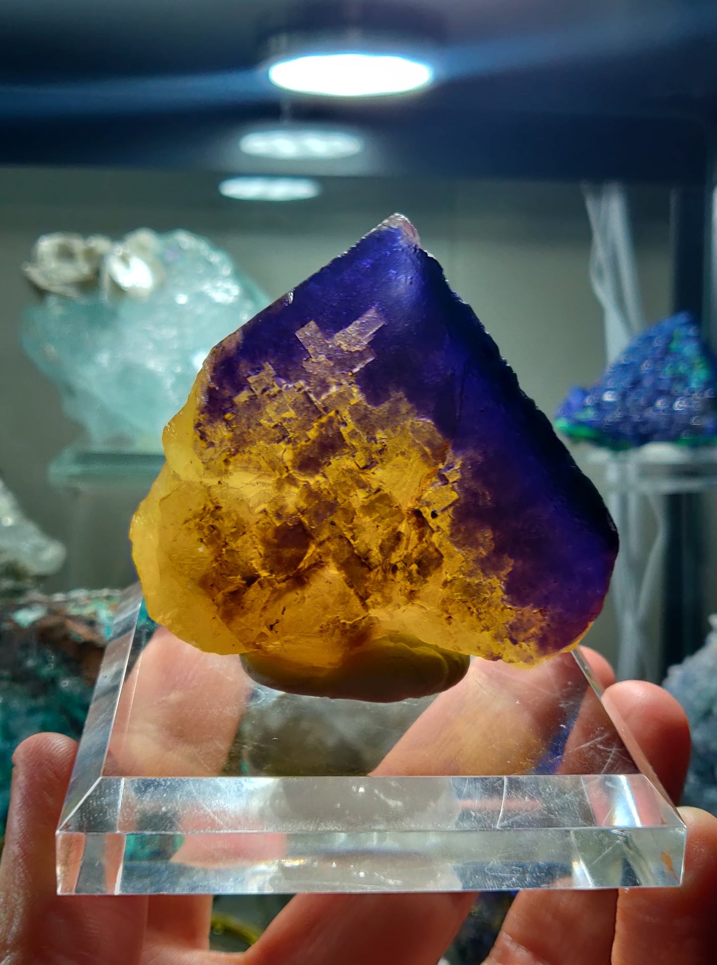 Bicolor Purple & Yellow Fluorite with Phantom Zoning - Cave-in-Rock, Illinois