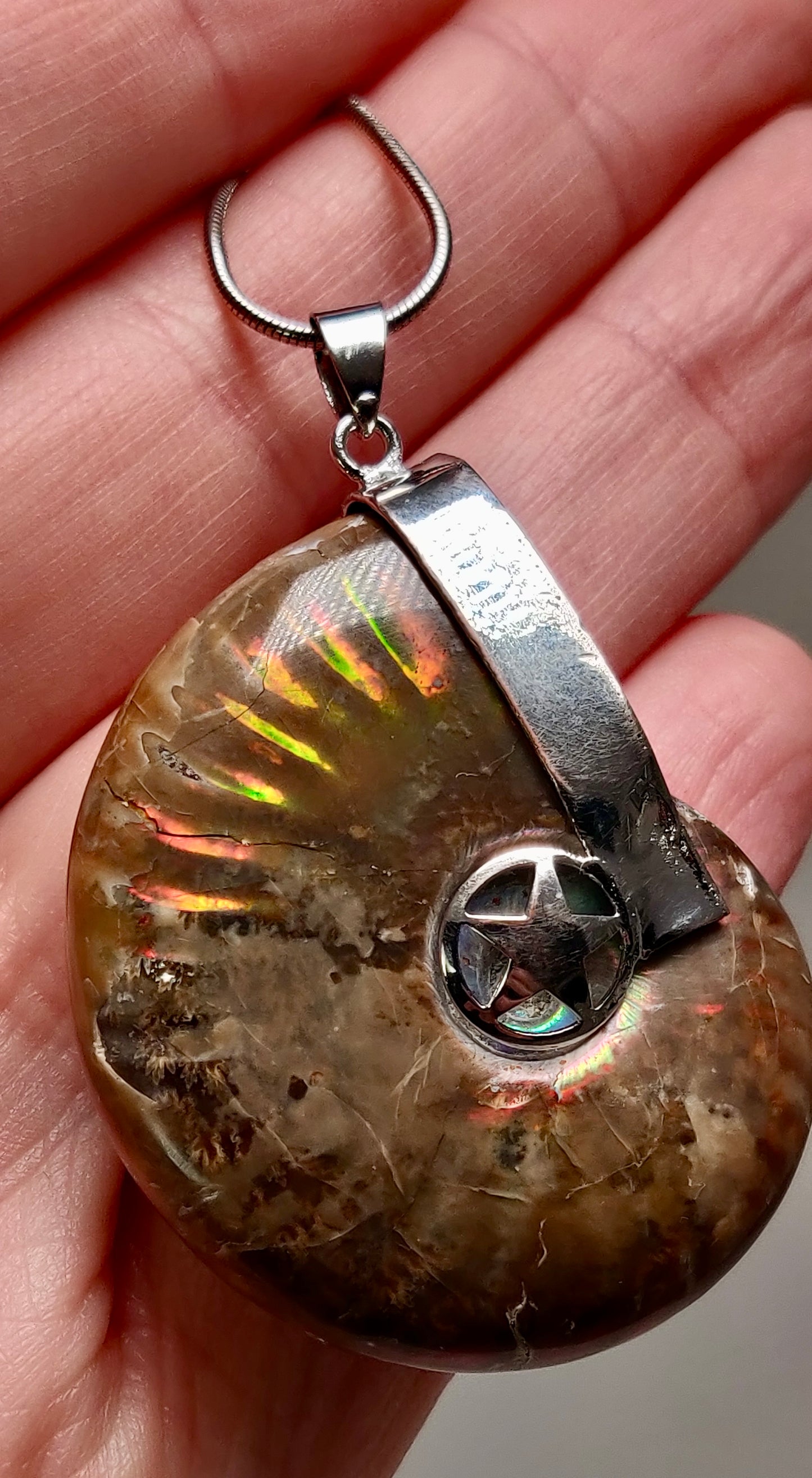 Iridescent Ammonite Fossil Pendant with 18" Silver-Plated Chain
