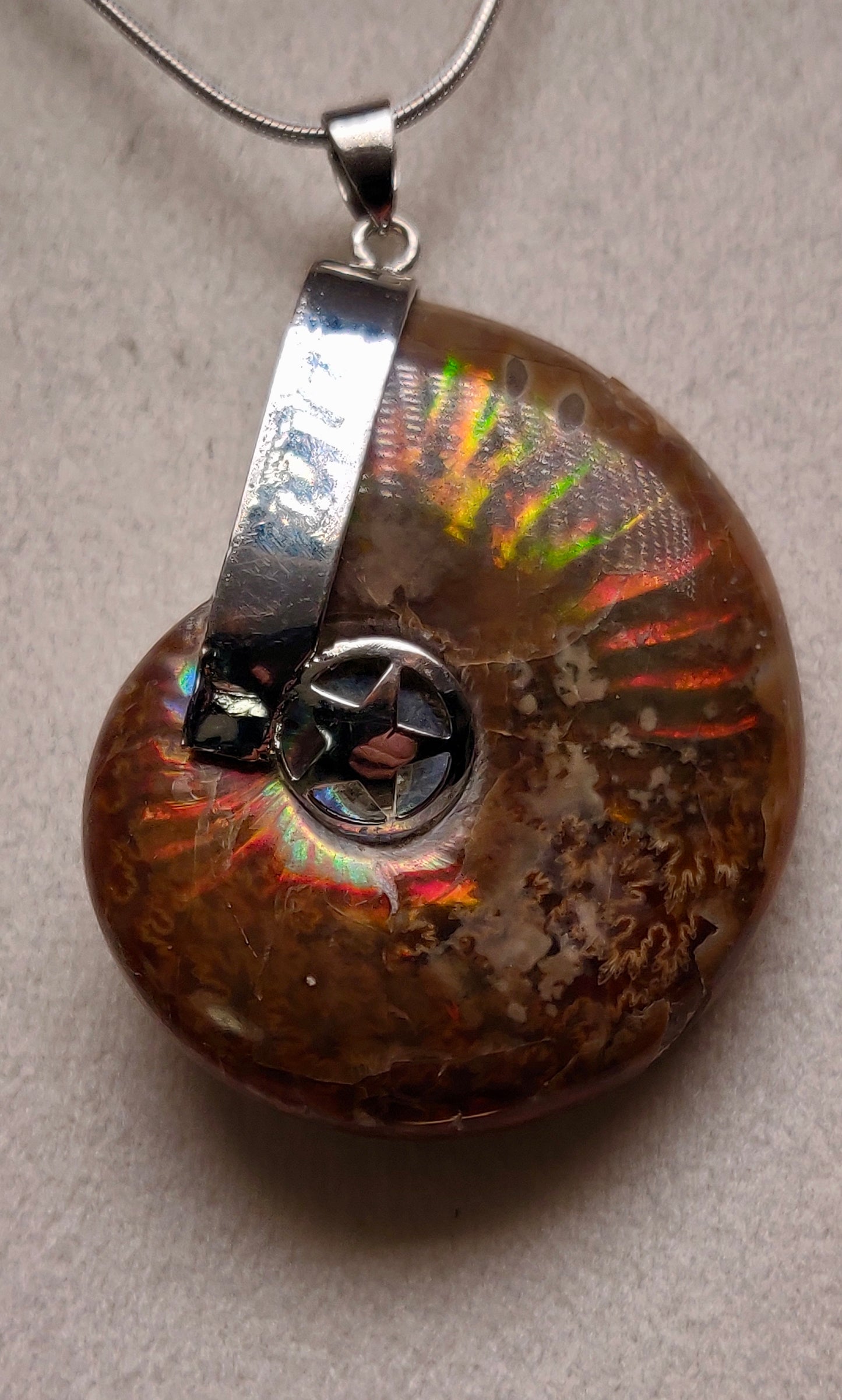 Iridescent Ammonite Fossil Pendant with 18" Silver-Plated Chain