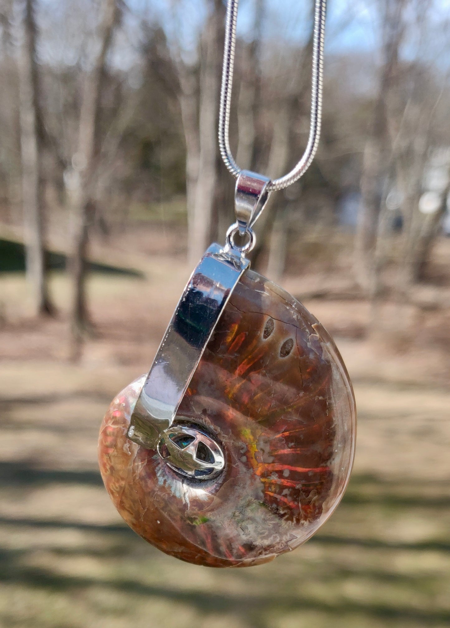 Iridescent Ammonite Fossil Necklace -Cretaceous Period -18" Silver-Plated Chain