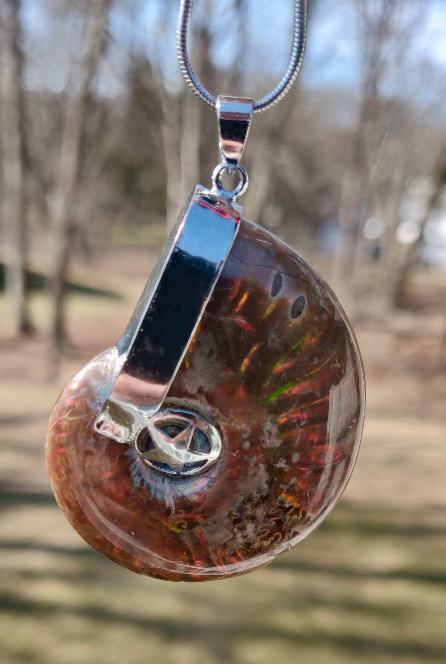 Iridescent Ammonite Fossil Pendant with 18" Silver-Plated Chain