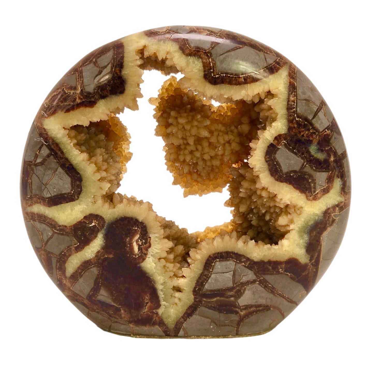 Large Septarian Unique Geode – 2.34 lbs (1.06kg)