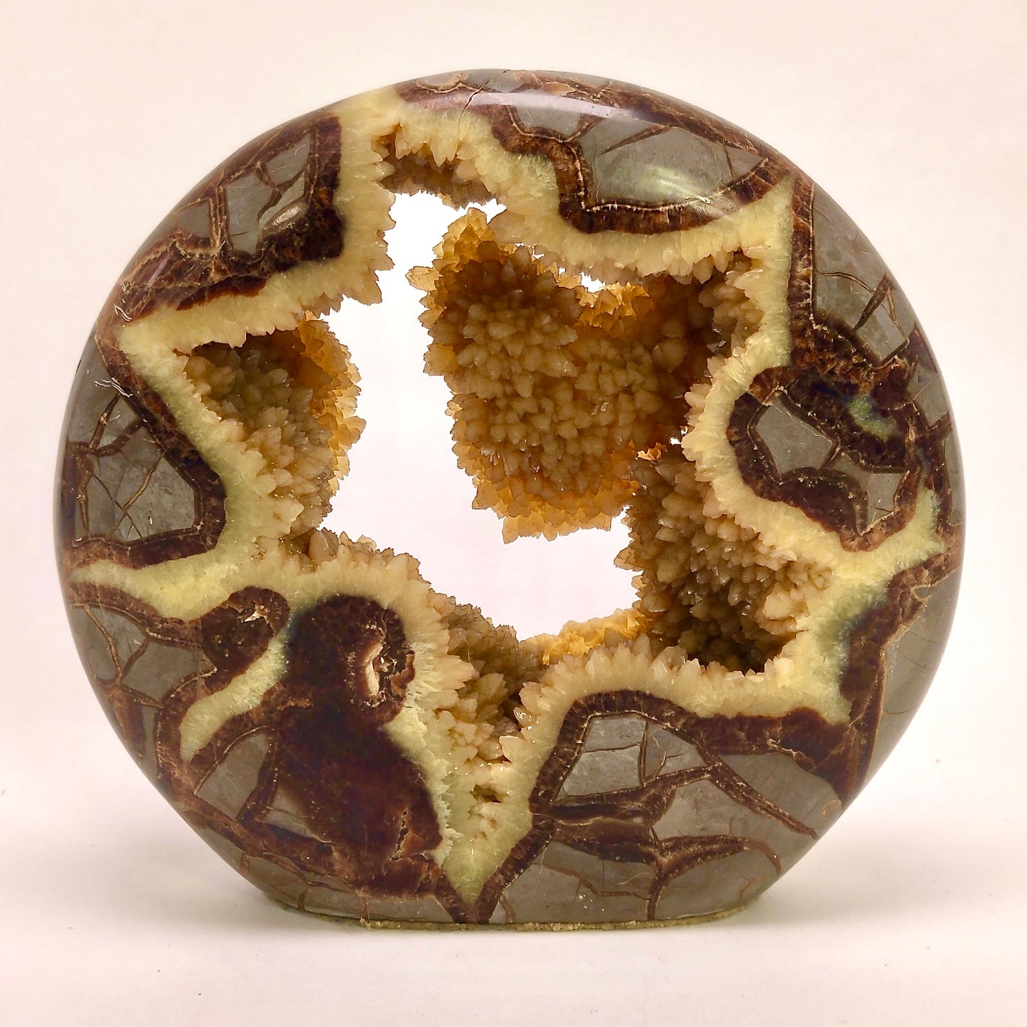 Large Septarian Unique Geode – 2.34 lbs (1.06kg)