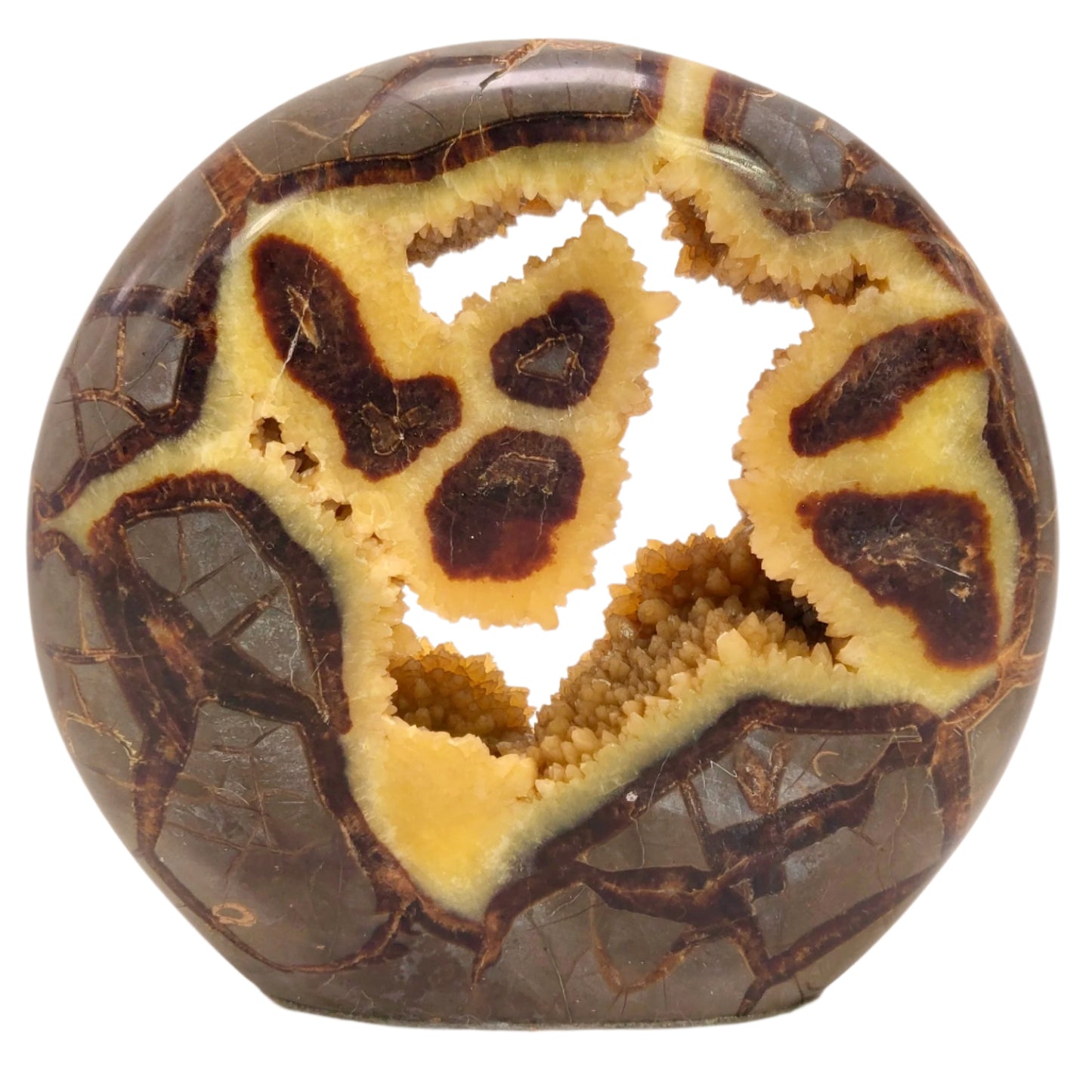 Large Septarian Unique Geode – 2.34 lbs (1.06kg)