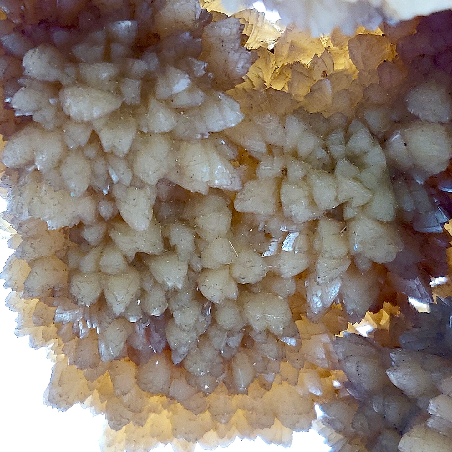 Large Septarian Unique Geode – 2.34 lbs (1.06kg)