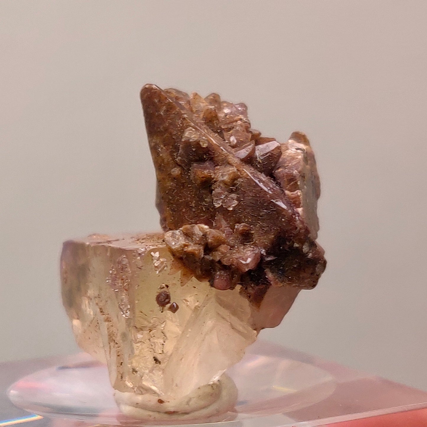 Stunning Dogtooth Calcite & Clear Fluorite - Potosi Mine, Chihuahua, Mexico (TN Size)