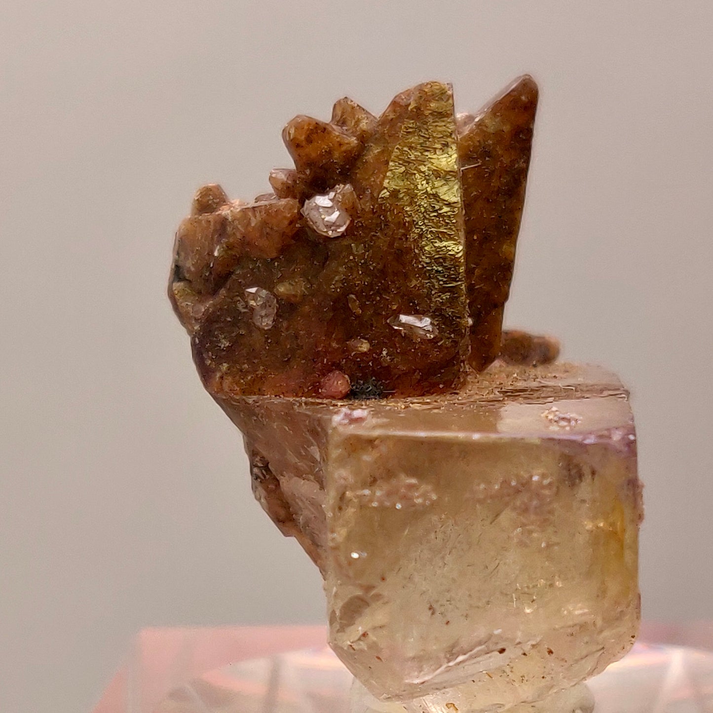 Stunning Dogtooth Calcite & Clear Fluorite - Potosi Mine, Chihuahua, Mexico (TN Size)