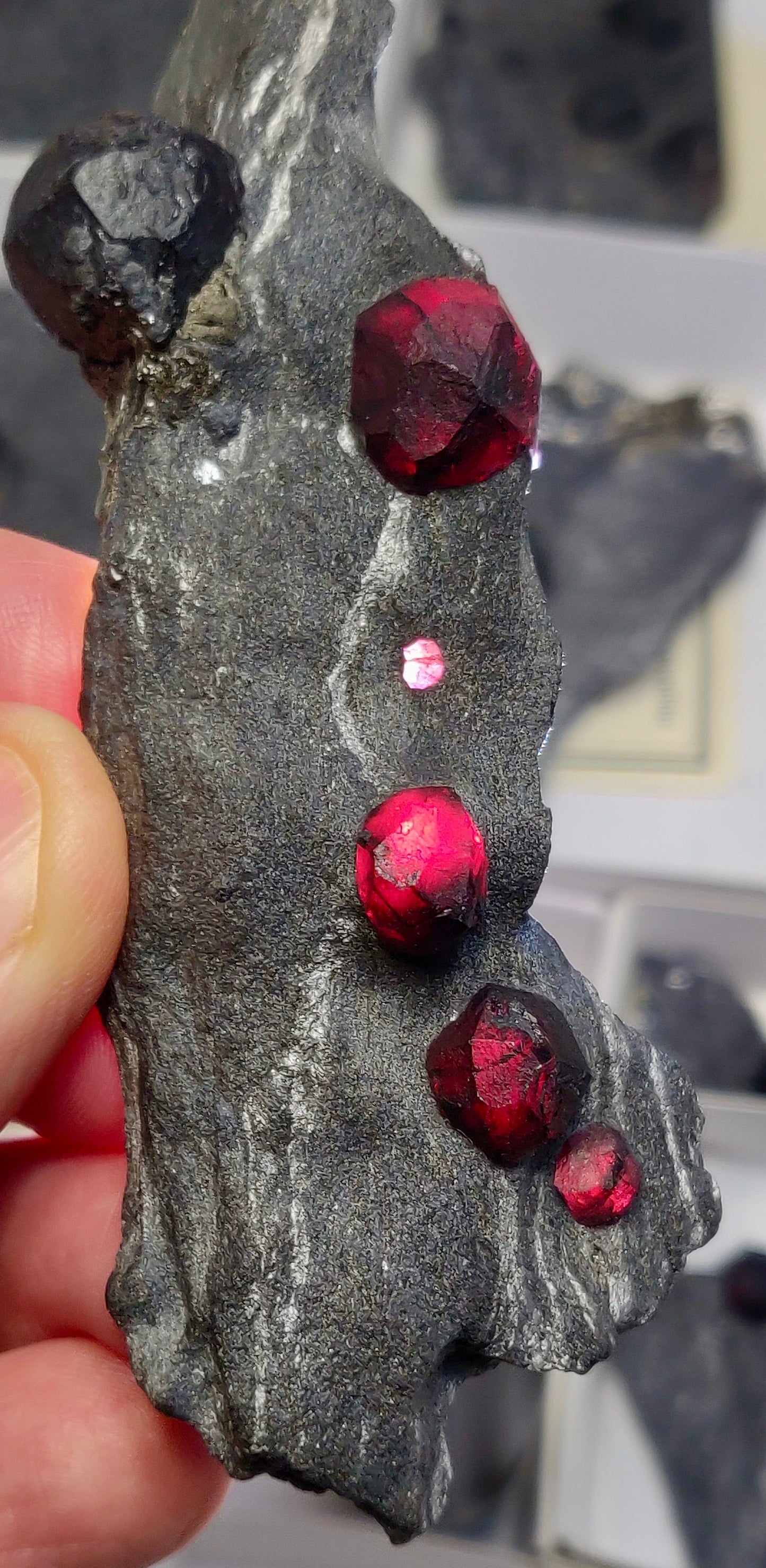 Dark stone with red gemstones on a blurred background