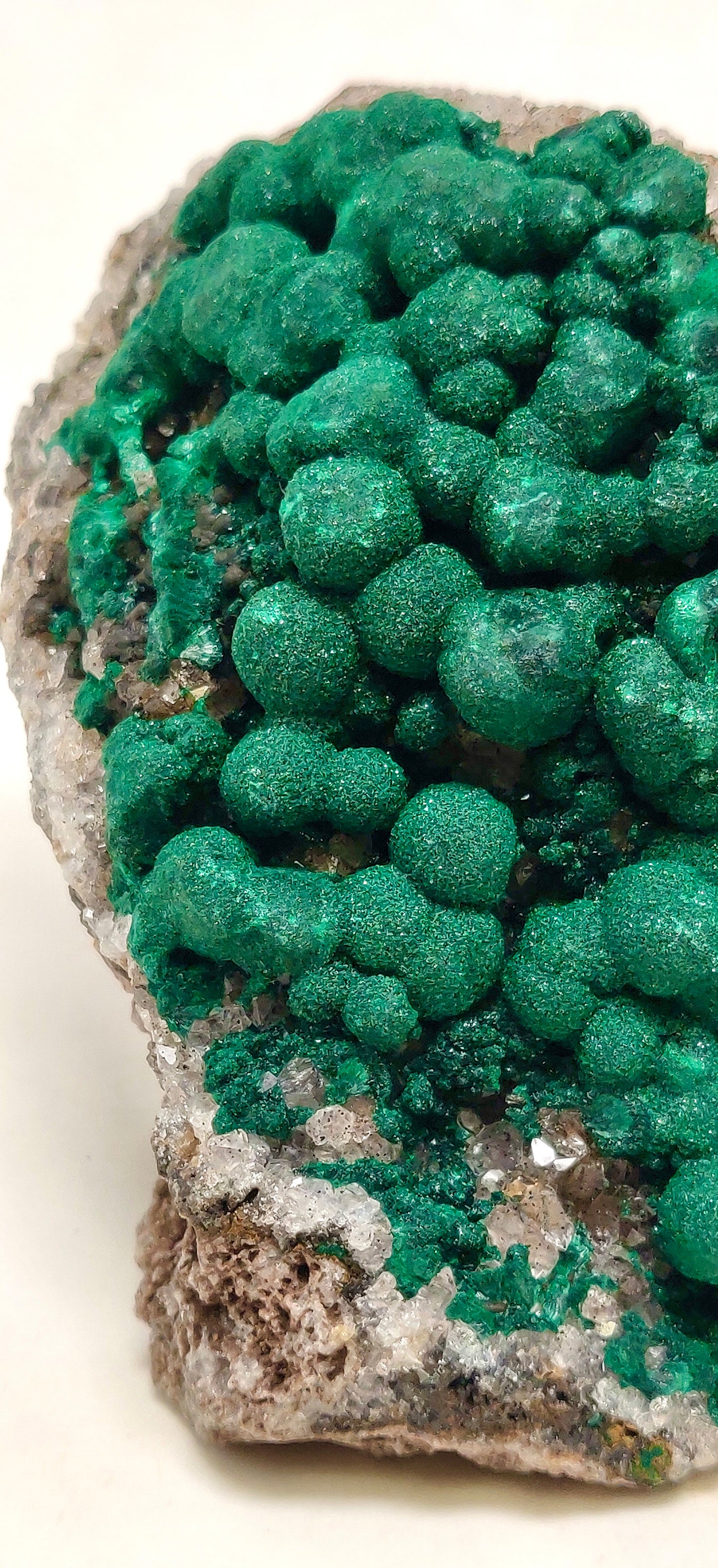 Malachite w/ Drusy Quartz, Mindingi Mine, DR Congo