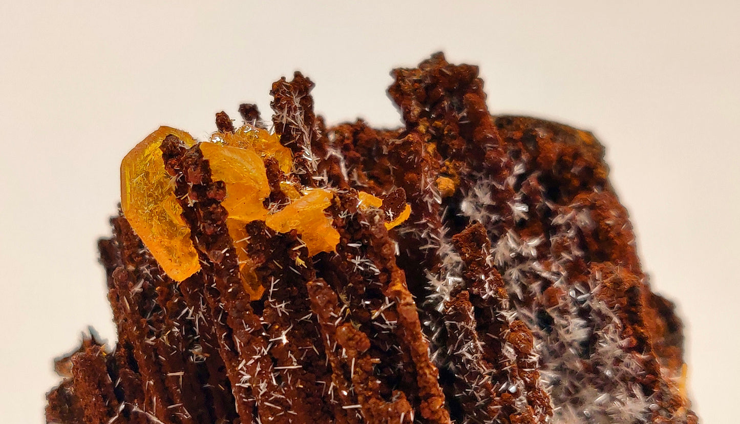 Butterscotch Wulfenite with Aragonite Sprays — Los Lamentos, Chihuahua, Mexico