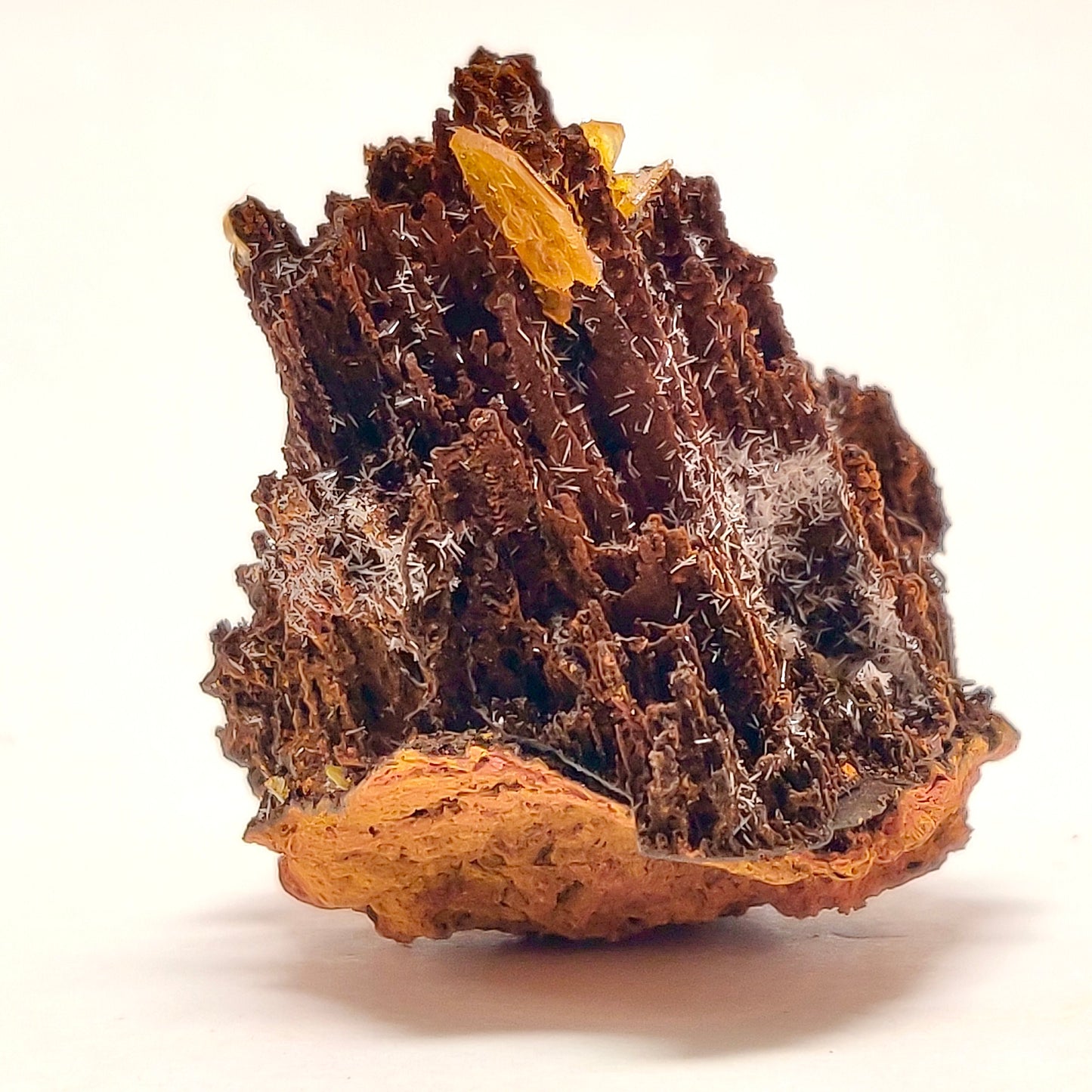 Butterscotch Wulfenite with Aragonite Sprays — Los Lamentos, Chihuahua, Mexico