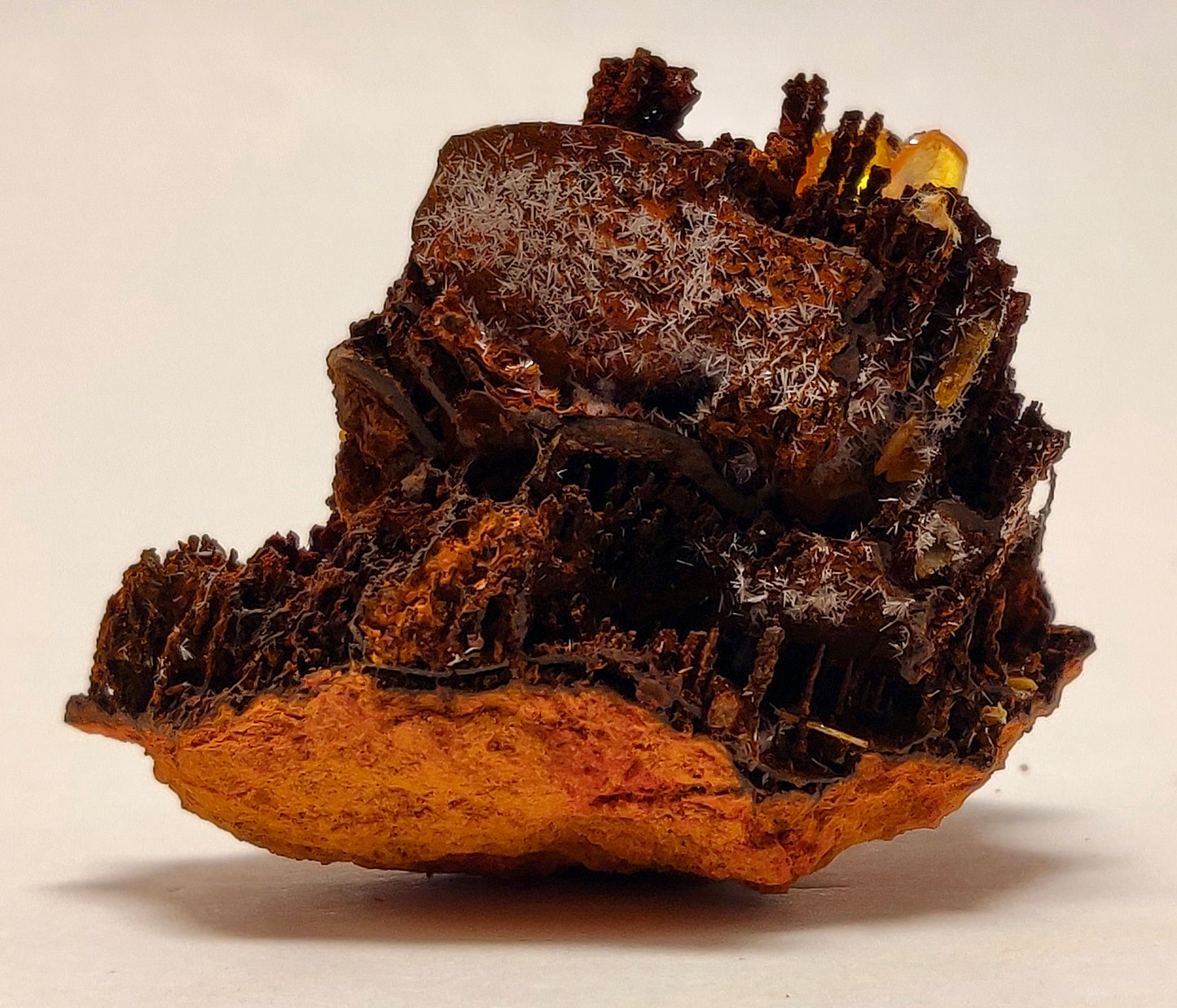 Butterscotch Wulfenite with Aragonite Sprays — Los Lamentos, Chihuahua, Mexico