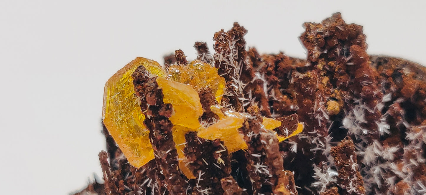 Butterscotch Wulfenite with Aragonite Sprays — Los Lamentos, Chihuahua, Mexico