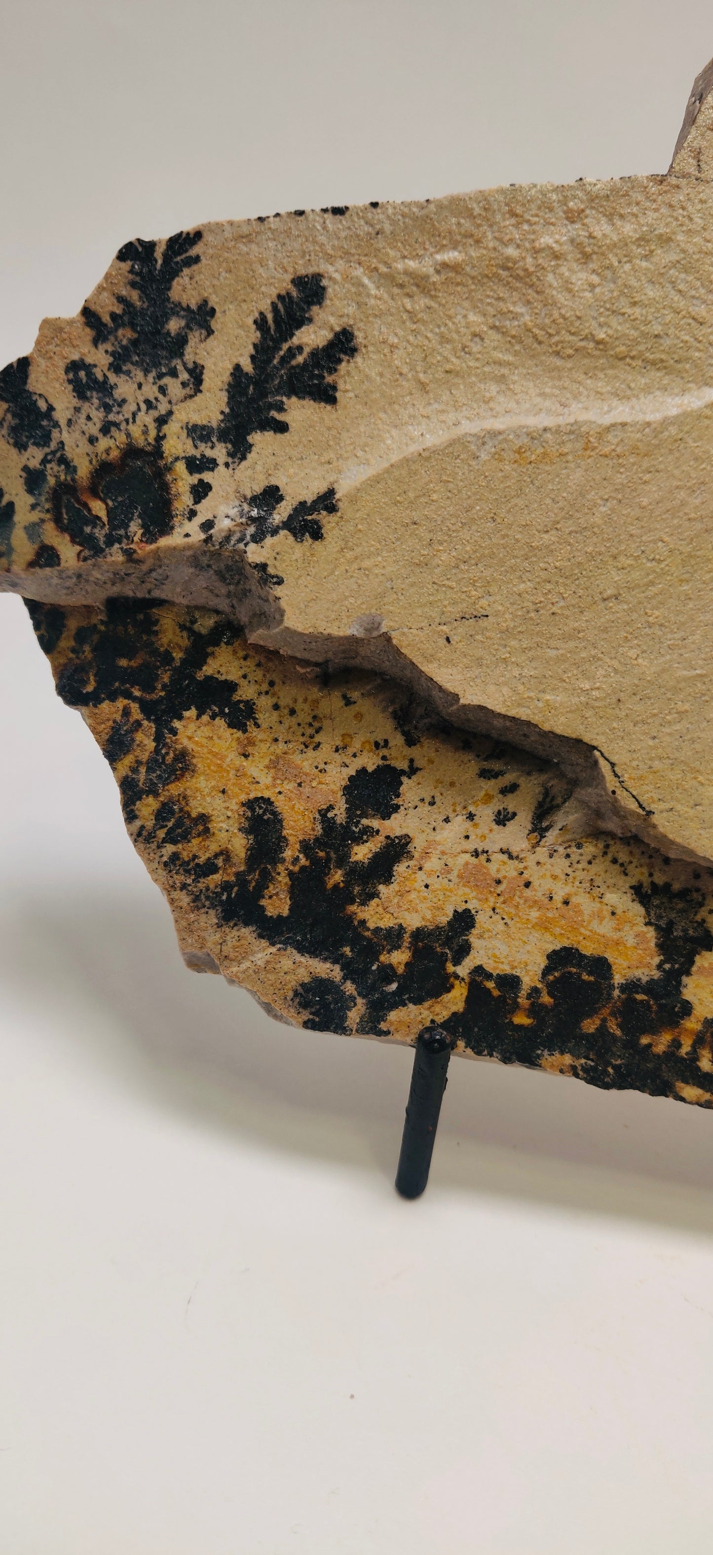 Mineral sample with black and yellow crystals on a beige background