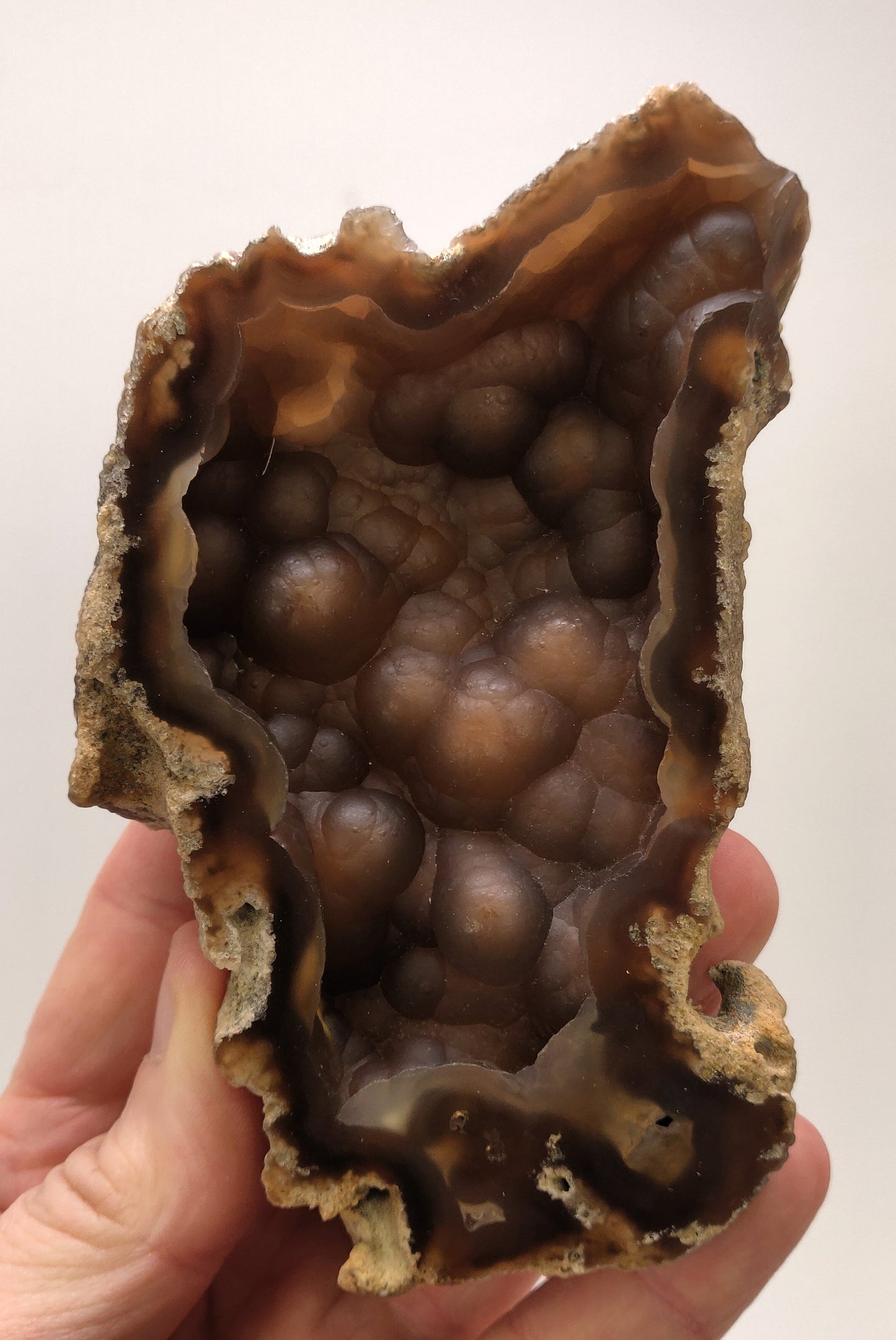 Rare Fluorescent Agatized Coral Geode, Withlacoochee River, FL