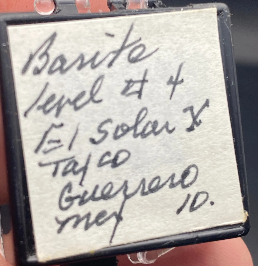 Pristine Arborescent Barite Cluster – El Solar Mine, Taxco, Guerrero, Mexico