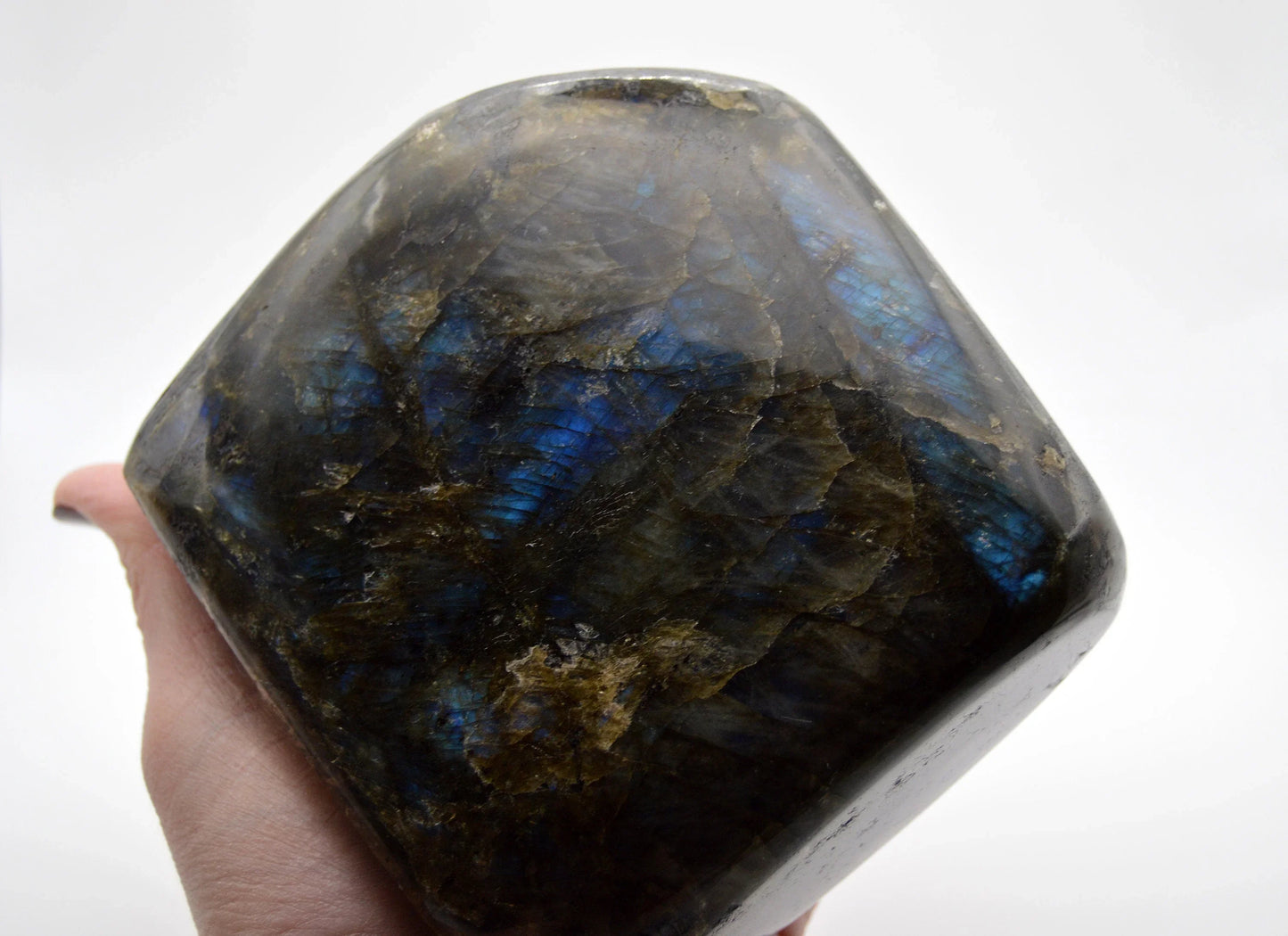 Labradorite Freeform, Vivid Labradorescence — Canada (1.6kg Statement Piece)