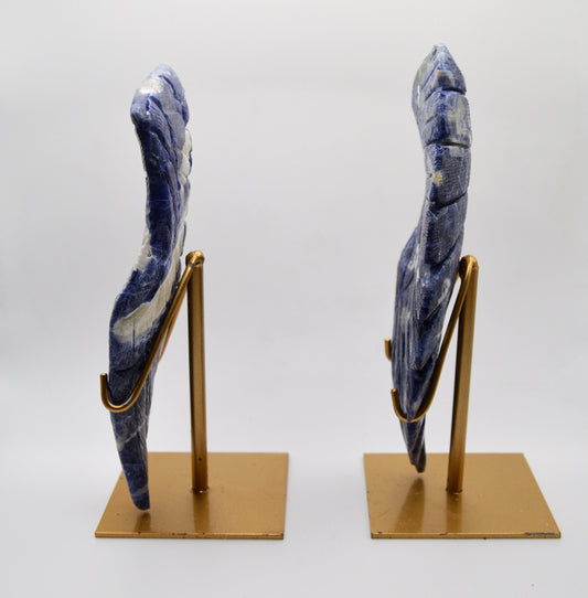 Pair of Sodalite Angel Wings on Gold Stands