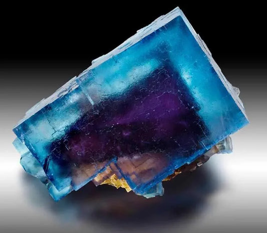 Multicolored rectangular fluorite crystal with vibrant blue and purple hues on a gradient background
