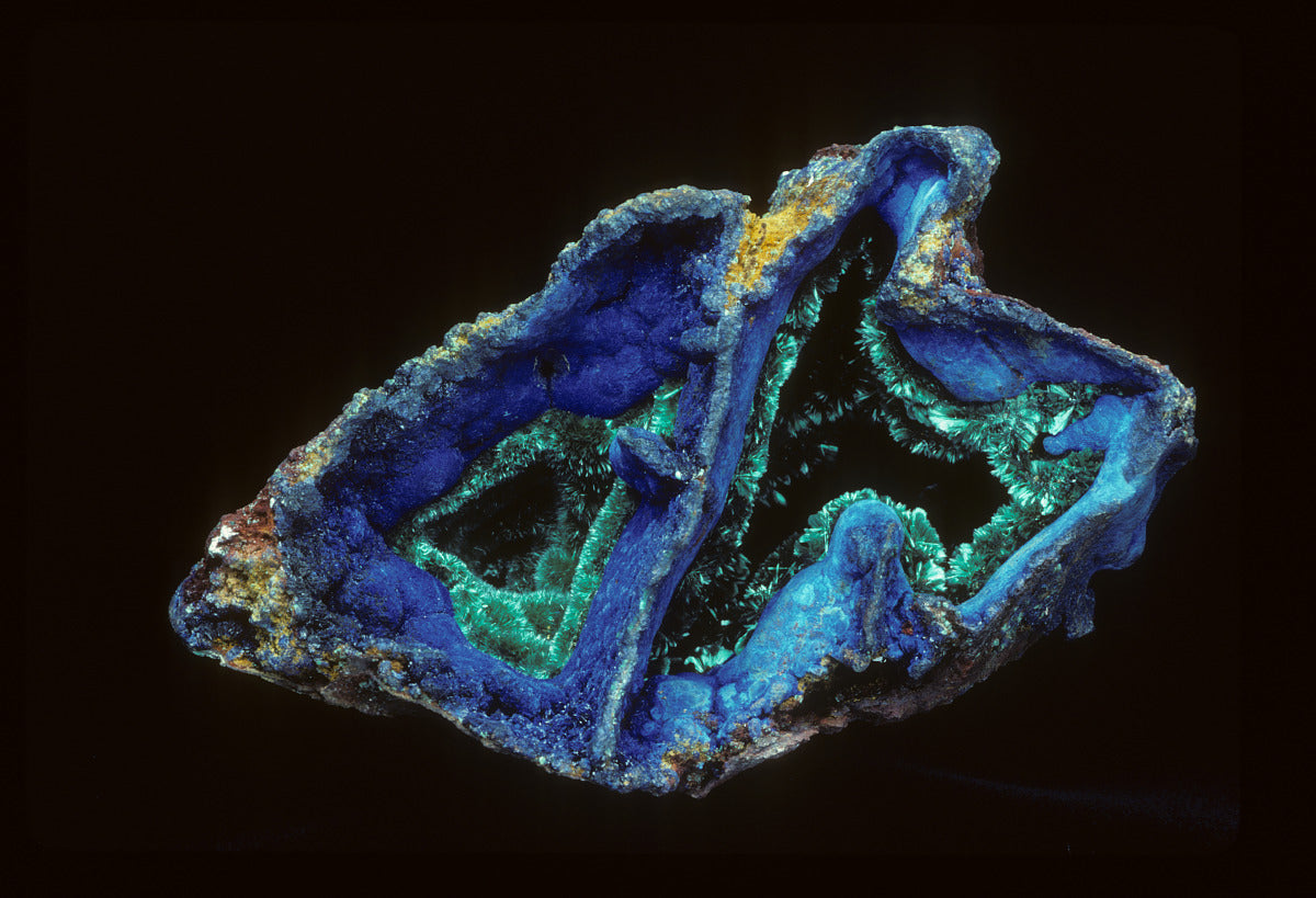 Browse All Specimens