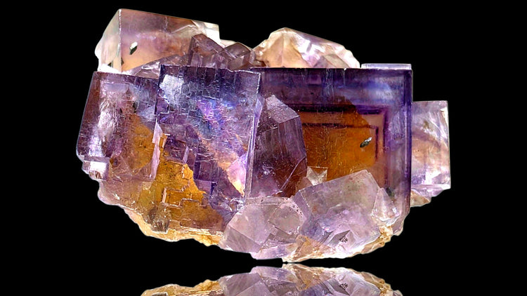 The Gatsby Gems Archive