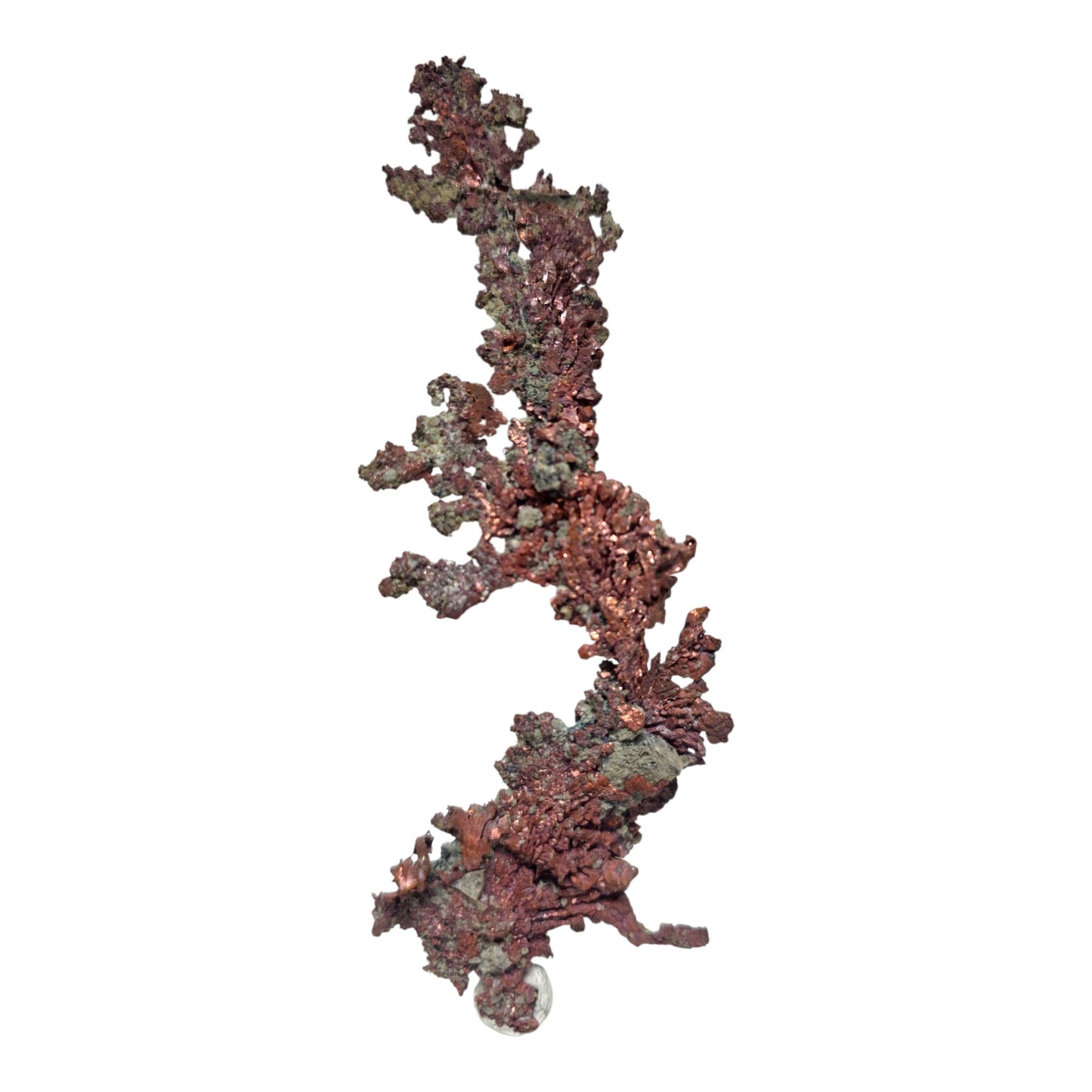 Arborescent Native Copper - Chino Mine, New Mexico