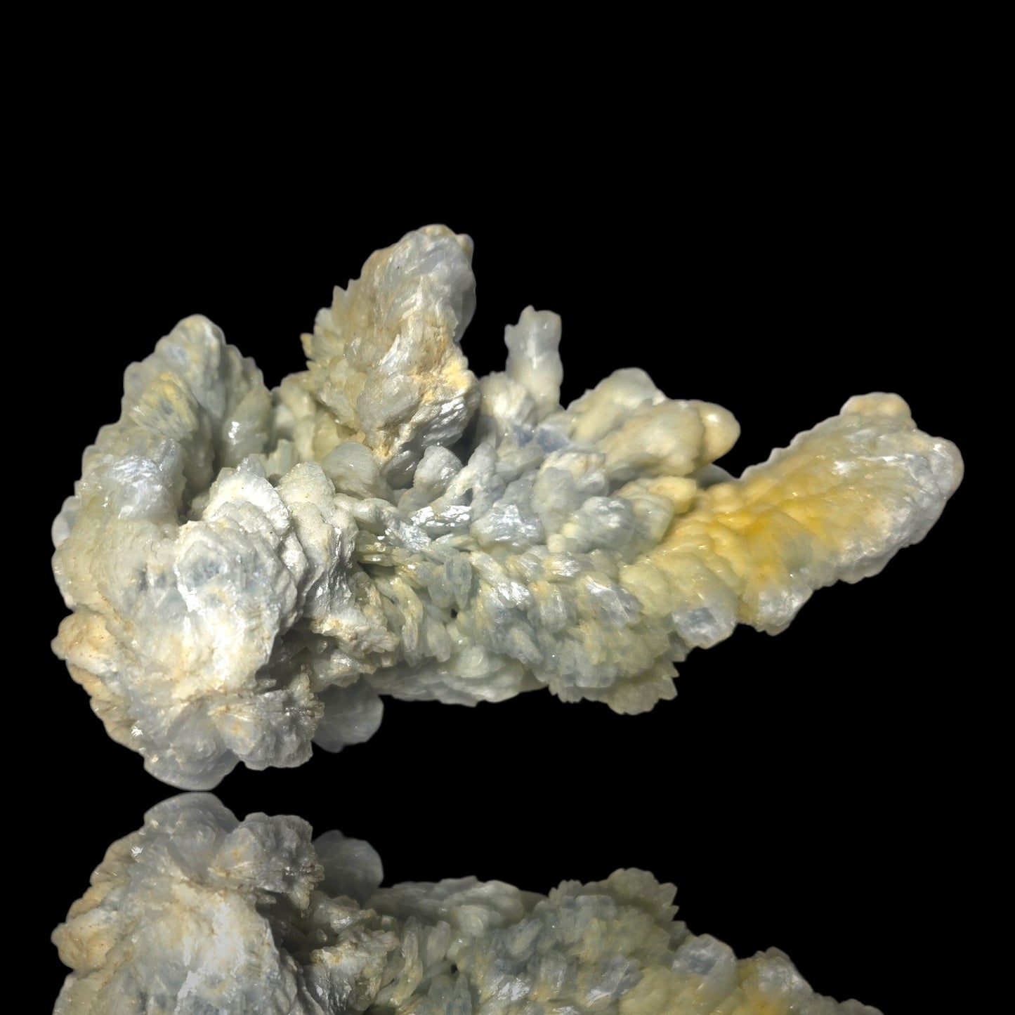 Arborescent Bladed Barite Aggregate | Cave-in-Rock, Illinois | 5.2" / 550g