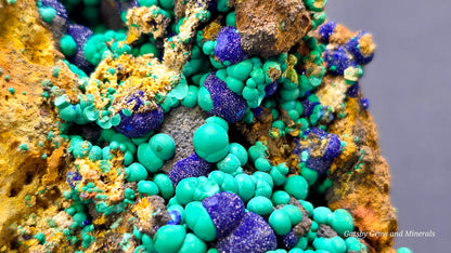 Botryoidal Azurite & Malachite Specimen – Morenci Mine, Arizona – 1990's Old Stock