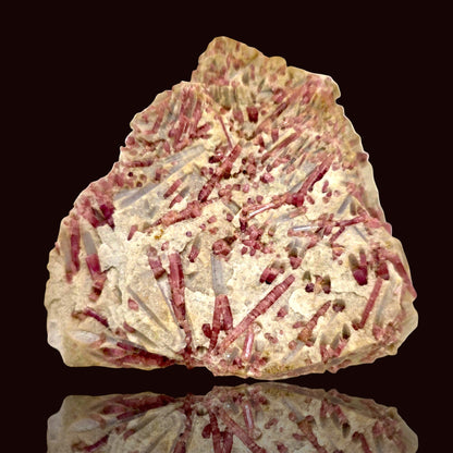 Elbaite var. Rubellite Tourmaline — Stewart Mine, Pala, San Diego Co., California (300g)