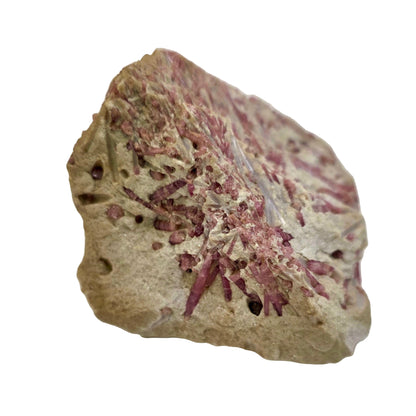 Rock with purple mineral inclusions on a white background