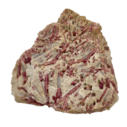 Mineral sample with red and white crystals on a beige background