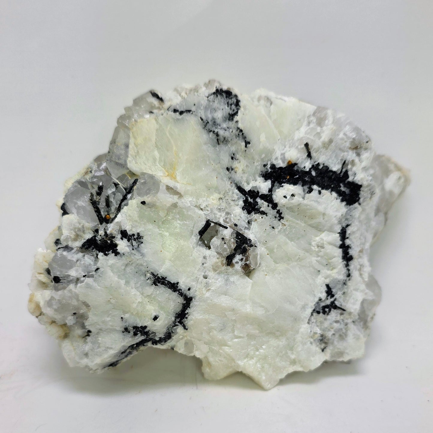 Mineral sample with white and black patterns on a light gray background
