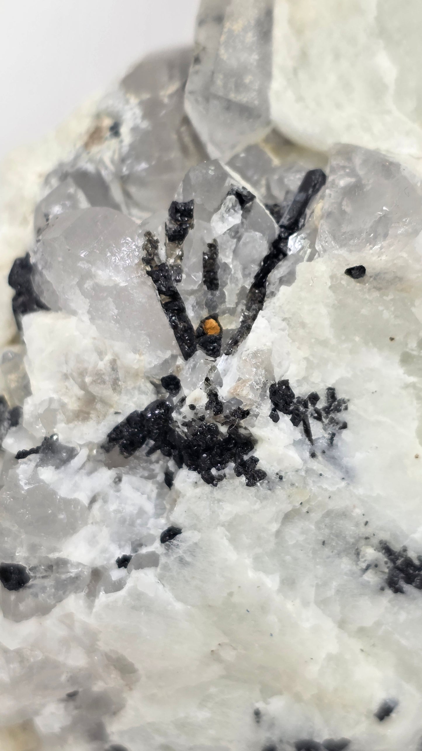 Close-up of mineral crystals on a white background