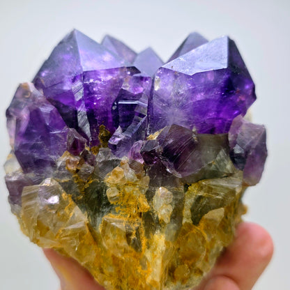 Amethyst crystal cluster held by a hand against a white background