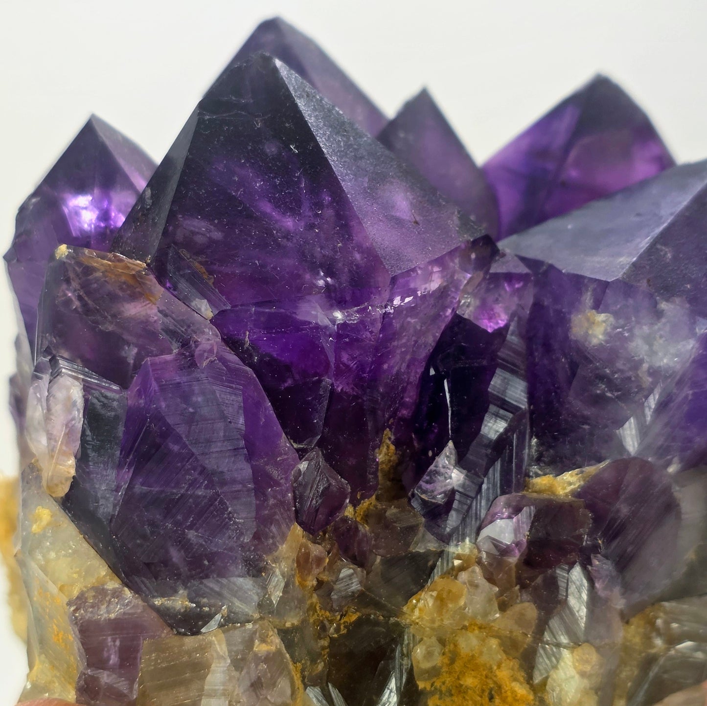 Close-up of purple crystal formations on a white background