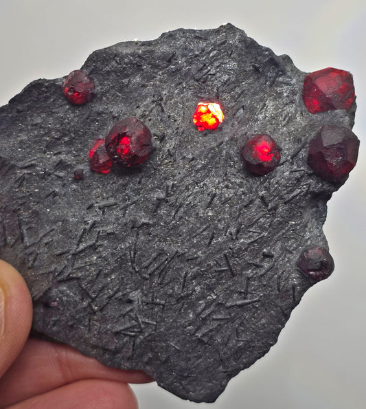 Dark rock with embedded red gemstones held by a hand against a neutral background