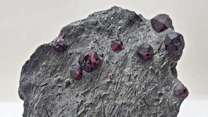Almandine Garnet on Graphite – Red Embers Mine, Massachusetts