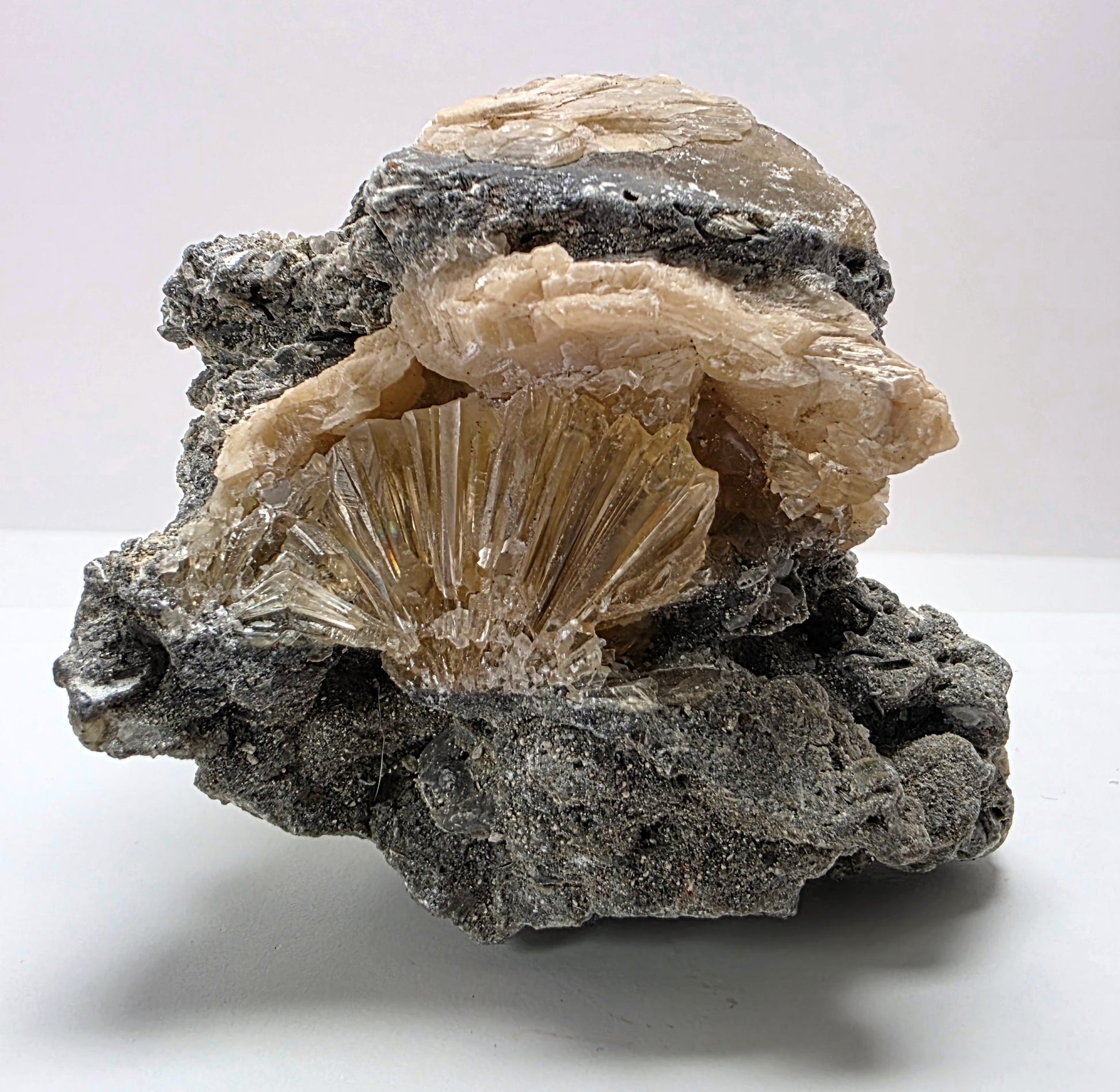 Mineral sample with a central beige crystal on a gray rock against a white background