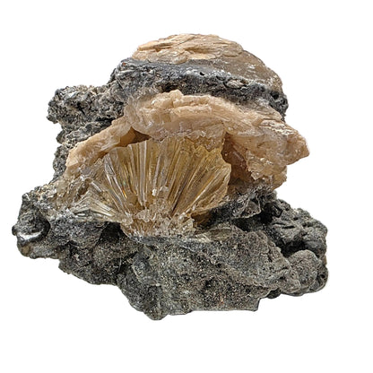 Mineral specimen with a central crystal on a gray background